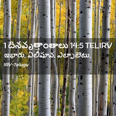 Picture 02 - 1 దినవృత్తాంతాలు 14:5 TELIRV - ఇభారు, ఏలీషూవ, - Bible Verse Picture