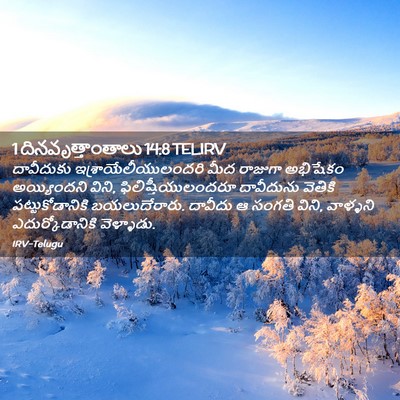 Picture 02 - 1 దినవృత్తాంతాలు 14:8 TELIRV - దావీదుకు - Bible Verse Picture