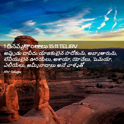 Picture 02 - 1 దినవృత్తాంతాలు 15:11 TELIRV - అప్పుడు దావీదు - Bible Verse Picture