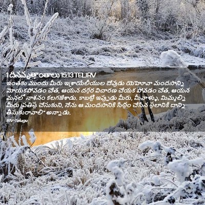 Picture 02 - 1 దినవృత్తాంతాలు 15:13 TELIRV - ఇంతకు ముందు మీరు - Bible Verse Picture