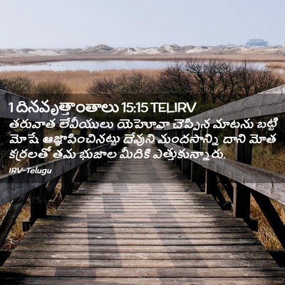 Picture 02 - 1 దినవృత్తాంతాలు 15:15 TELIRV - తరువాత లేవీయులు - Bible Verse Picture