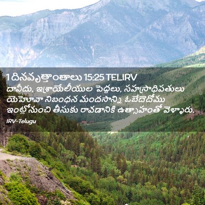 Picture 02 - 1 దినవృత్తాంతాలు 15:25 TELIRV - దావీదు, - Bible Verse Picture
