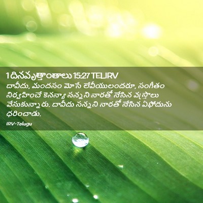 Picture 02 - 1 దినవృత్తాంతాలు 15:27 TELIRV - దావీదు, మందసం మోసే - Bible Verse Picture