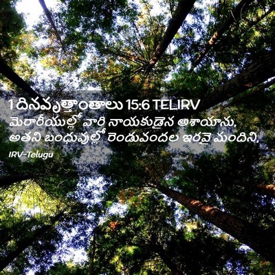 Picture 02 - 1 దినవృత్తాంతాలు 15:6 TELIRV - మెరారీయుల్లో వారి - Bible Verse Picture