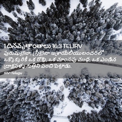Picture 02 - 1 దినవృత్తాంతాలు 16:3 TELIRV - పురుషులైనా, - Bible Verse Picture
