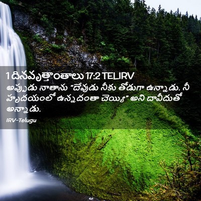 Picture 02 - 1 దినవృత్తాంతాలు 17:2 TELIRV - అప్పుడు నాతాను - Bible Verse Picture