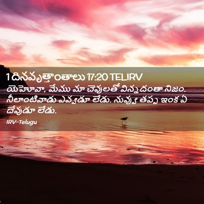 Picture 02 - 1 దినవృత్తాంతాలు 17:20 TELIRV - యెహోవా, మేము మా - Bible Verse Picture