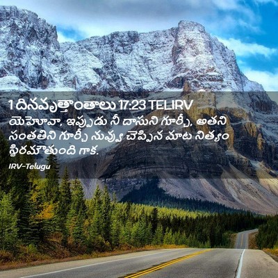Picture 02 - 1 దినవృత్తాంతాలు 17:23 TELIRV - యెహోవా, ఇప్పుడు నీ - Bible Verse Picture
