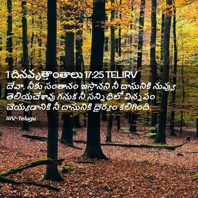 Picture 02 - 1 దినవృత్తాంతాలు 17:25 TELIRV - దేవా, నీకు సంతానం - Bible Verse Picture