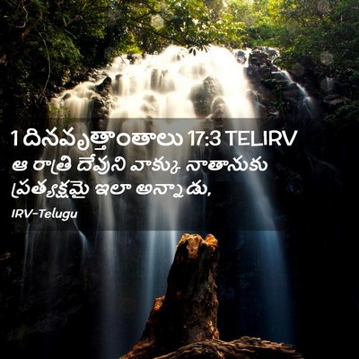 Picture 02 - 1 దినవృత్తాంతాలు 17:3 TELIRV - ఆ రాత్రి దేవుని - Bible Verse Picture