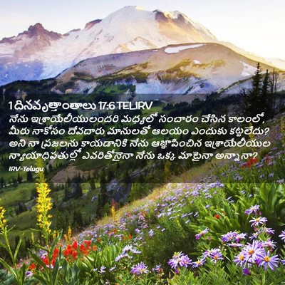 Picture 02 - 1 దినవృత్తాంతాలు 17:6 TELIRV - నేను - Bible Verse Picture