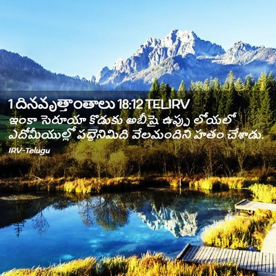Picture 02 - 1 దినవృత్తాంతాలు 18:12 TELIRV - ఇంకా సెరూయా - Bible Verse Picture