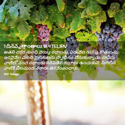 Picture 02 - 1 దినవృత్తాంతాలు 18:4 TELIRV - అతని దగ్గర నుంచి - Bible Verse Picture