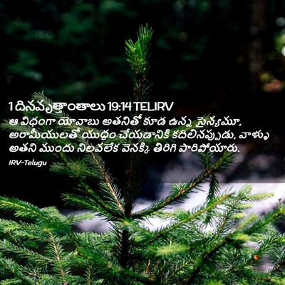 Picture 02 - 1 దినవృత్తాంతాలు 19:14 TELIRV - ఆ విధంగా యోవాబు - Bible Verse Picture