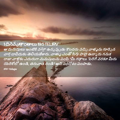 Picture 02 - 1 దినవృత్తాంతాలు 19:5 TELIRV - ఆ మనుషులు ఇంటికి - Bible Verse Picture