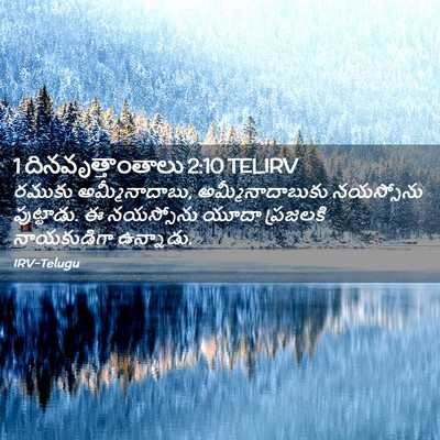 Picture 02 - 1 దినవృత్తాంతాలు 2:10 TELIRV - రముకు - Bible Verse Picture