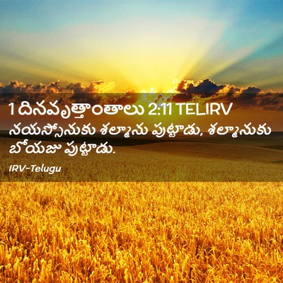 Picture 02 - 1 దినవృత్తాంతాలు 2:11 TELIRV - నయస్సోనుకు - Bible Verse Picture