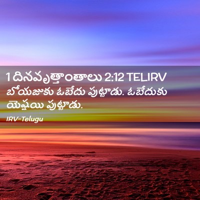 Picture 02 - 1 దినవృత్తాంతాలు 2:12 TELIRV - బోయజుకు ఓబేదు - Bible Verse Picture
