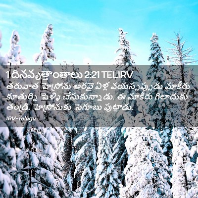 Picture 02 - 1 దినవృత్తాంతాలు 2:21 TELIRV - తరువాత హెస్రోను - Bible Verse Picture