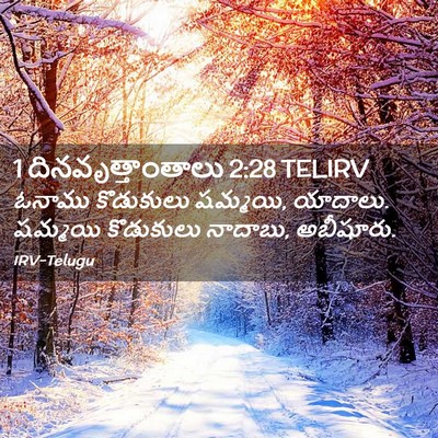 Picture 02 - 1 దినవృత్తాంతాలు 2:28 TELIRV - ఓనాము కొడుకులు - Bible Verse Picture