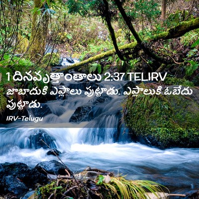 Picture 02 - 1 దినవృత్తాంతాలు 2:37 TELIRV - జాబాదుకి ఎప్లాలు - Bible Verse Picture