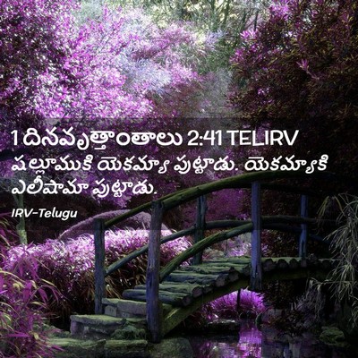 Picture 02 - 1 దినవృత్తాంతాలు 2:41 TELIRV - షల్లూముకి యెకమ్యా - Bible Verse Picture