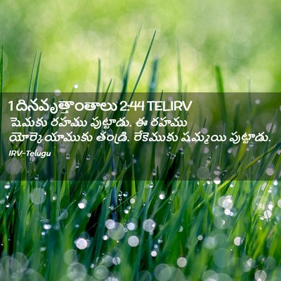 Picture 02 - 1 దినవృత్తాంతాలు 2:44 TELIRV - షెమకు రహము - Bible Verse Picture