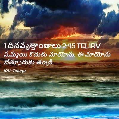 Picture 02 - 1 దినవృత్తాంతాలు 2:45 TELIRV - షమ్మయి కొడుకు - Bible Verse Picture