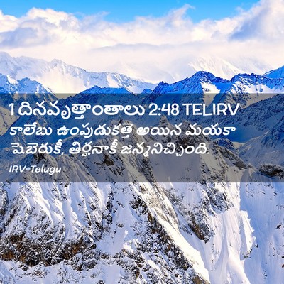 Picture 02 - 1 దినవృత్తాంతాలు 2:48 TELIRV - కాలేబు - Bible Verse Picture