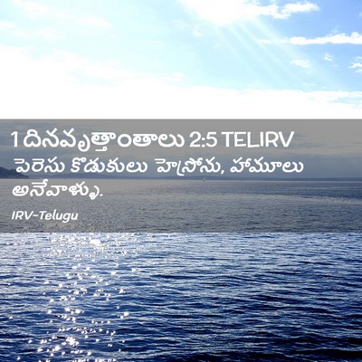 Picture 02 - 1 దినవృత్తాంతాలు 2:5 TELIRV - పెరెసు కొడుకులు - Bible Verse Picture