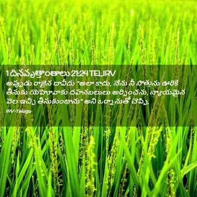 Picture 02 - 1 దినవృత్తాంతాలు 21:24 TELIRV - అప్పుడు రాజైన - Bible Verse Picture