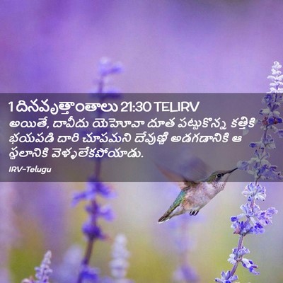 Picture 02 - 1 దినవృత్తాంతాలు 21:30 TELIRV - అయితే, దావీదు - Bible Verse Picture