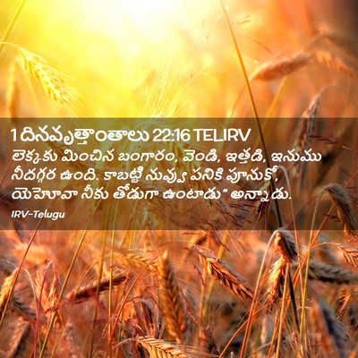 Picture 02 - 1 దినవృత్తాంతాలు 22:16 TELIRV - లెక్కకు మించిన - Bible Verse Picture