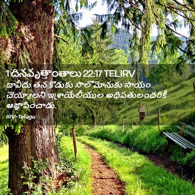 Picture 02 - 1 దినవృత్తాంతాలు 22:17 TELIRV - దావీదు తన కొడుకు - Bible Verse Picture