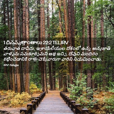 Picture 02 - 1 దినవృత్తాంతాలు 22:2 TELIRV - తరువాత దావీదు, - Bible Verse Picture