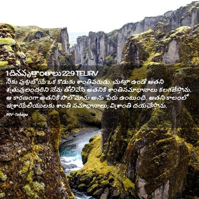 Picture 02 - 1 దినవృత్తాంతాలు 22:9 TELIRV - నీకు పుట్టబోయే ఒక - Bible Verse Picture