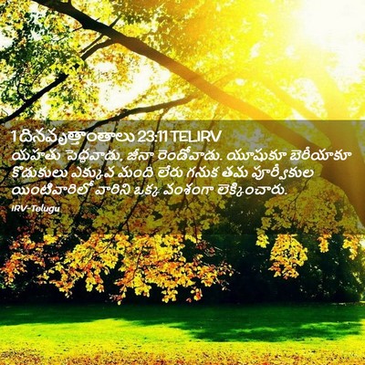 Picture 02 - 1 దినవృత్తాంతాలు 23:11 TELIRV - యహతు పెద్దవాడు, - Bible Verse Picture