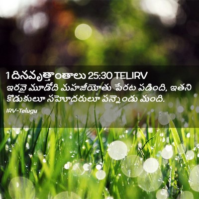 Picture 02 - 1 దినవృత్తాంతాలు 25:30 TELIRV - ఇరవై మూడోది - Bible Verse Picture