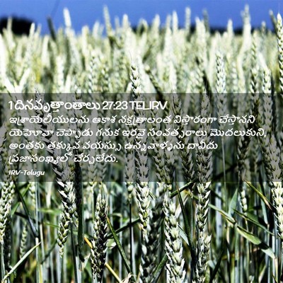 Picture 02 - 1 దినవృత్తాంతాలు 27:23 TELIRV - ఇశ్రాయేలీయులను - Bible Verse Picture