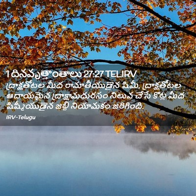 Picture 02 - 1 దినవృత్తాంతాలు 27:27 TELIRV - ద్రాక్షతోటల మీద - Bible Verse Picture