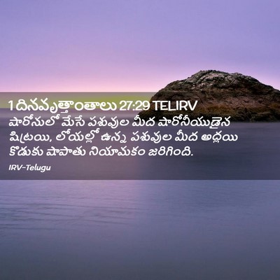 Picture 02 - 1 దినవృత్తాంతాలు 27:29 TELIRV - షారోనులో మేసే - Bible Verse Picture