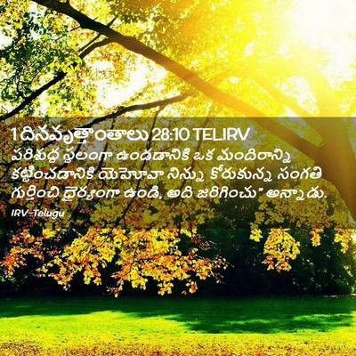 Picture 02 - 1 దినవృత్తాంతాలు 28:10 TELIRV - పరిశుద్ధ స్థలంగా - Bible Verse Picture