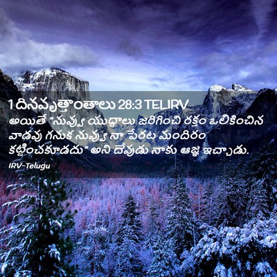 Picture 02 - 1 దినవృత్తాంతాలు 28:3 TELIRV - అయితే “నువ్వు - Bible Verse Picture