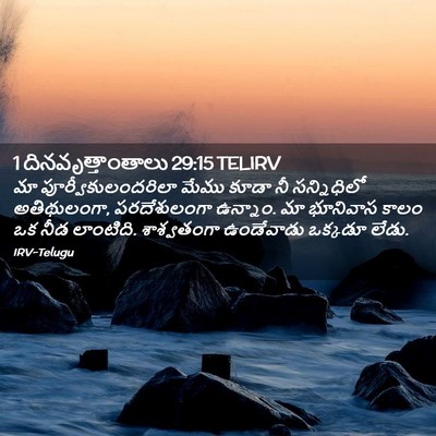Picture 02 - 1 దినవృత్తాంతాలు 29:15 TELIRV - మా - Bible Verse Picture
