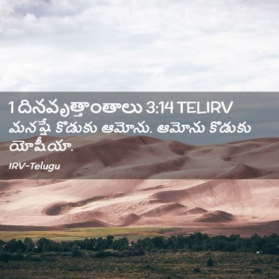 Picture 02 - 1 దినవృత్తాంతాలు 3:14 TELIRV - మనష్షే కొడుకు - Bible Verse Picture