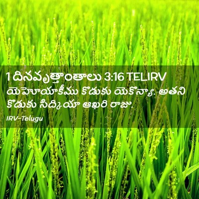 Picture 02 - 1 దినవృత్తాంతాలు 3:16 TELIRV - యెహోయాకీము కొడుకు - Bible Verse Picture