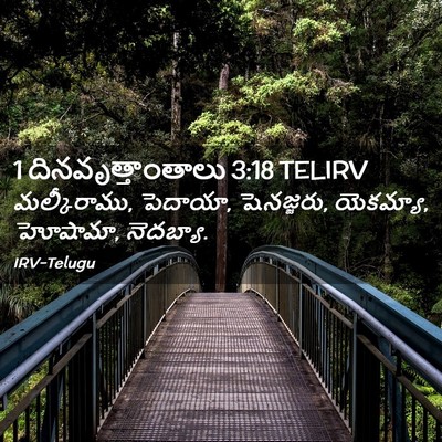 Picture 02 - 1 దినవృత్తాంతాలు 3:18 TELIRV - మల్కీరాము, పెదాయా, - Bible Verse Picture
