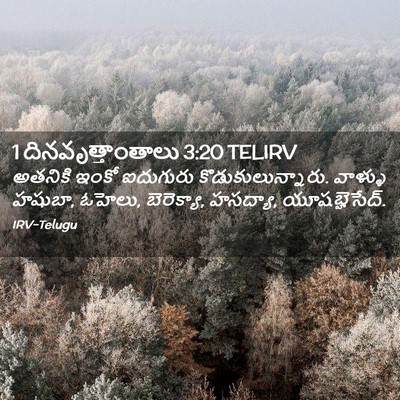 Picture 02 - 1 దినవృత్తాంతాలు 3:20 TELIRV - అతనికి ఇంకో - Bible Verse Picture