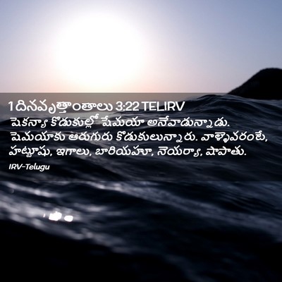 Picture 02 - 1 దినవృత్తాంతాలు 3:22 TELIRV - షెకన్యా - Bible Verse Picture