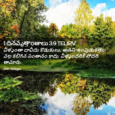Picture 02 - 1 దినవృత్తాంతాలు 3:9 TELIRV - వీళ్ళంతా దావీదు - Bible Verse Picture